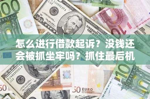 济南怎么进行借款起诉？没钱还会被抓坐牢吗？抓住最后机会！