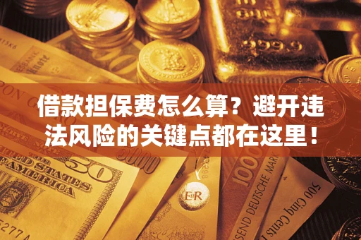 济南借款担保费怎么算？避开违法风险的关键点都在这里！