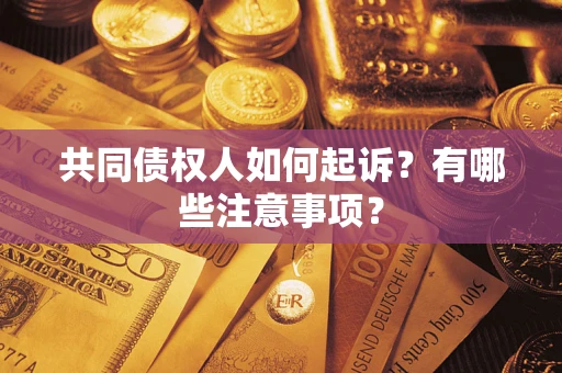 济南共同债权人如何起诉？有哪些注意事项？